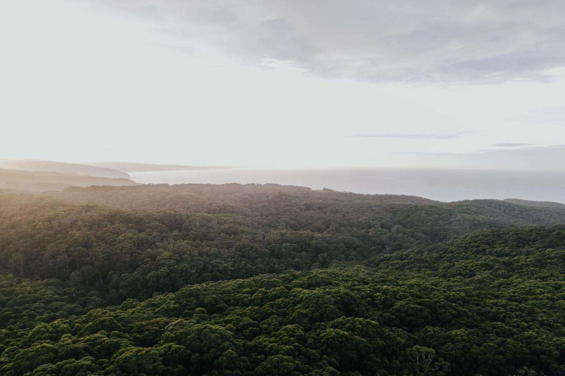 Alkina Lodge Nuru Wattle Hill Ngoại thất bức ảnh